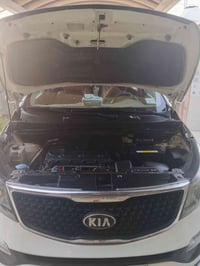 سبورتج • ٢٠١٦ • فورويل