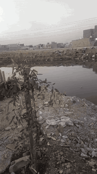 السعر 40 هاذا رقمي 07733644488