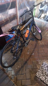 بايسكل • ياباني • بلمدينه