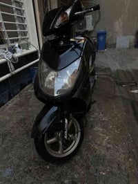 سكنس فحل حديث طلاعات كولد نوزل خطين كفاله عامه وياله ذهبي دشبول ٣ الوا...