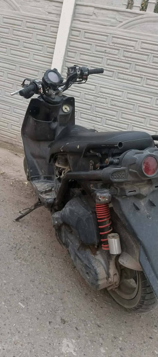 سكنس فحل البيع نقصه بس كفرات السعر 750 وبيه مجال رقمي  ***********
