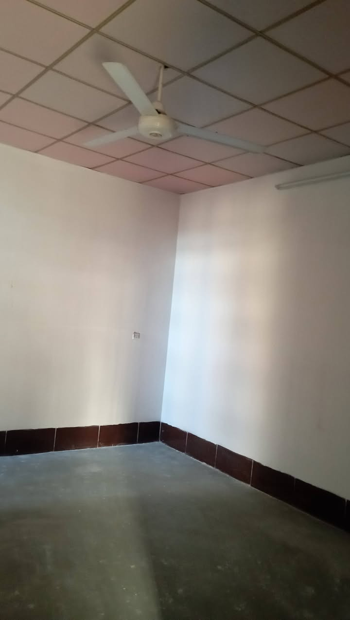 سه رتا به ناوى خواى گه وره و ميهربان
سلاو كريارانى به ريز 

ئه م خانومان لايه بوفروشتن 

مساحه 200متر

پيكهاتوه له دووژورنوستن هول متبغ ميوان مشته ملأت بيتونه 

فرعى قيرتاوه خانويكى زورباكو خاوينه 

سعرى 55مليون و معمله 

عنوان كركوك بنجاعلى نزيك مصته و سفه كه ياخود نزيك مكتب صلبا تو بوزانينى زياترپه يوندى كن به م ژمارانه ى لأى خواره وه 

***********//***********سه ردانى نوسينگه ى زه نگه نه بكن
