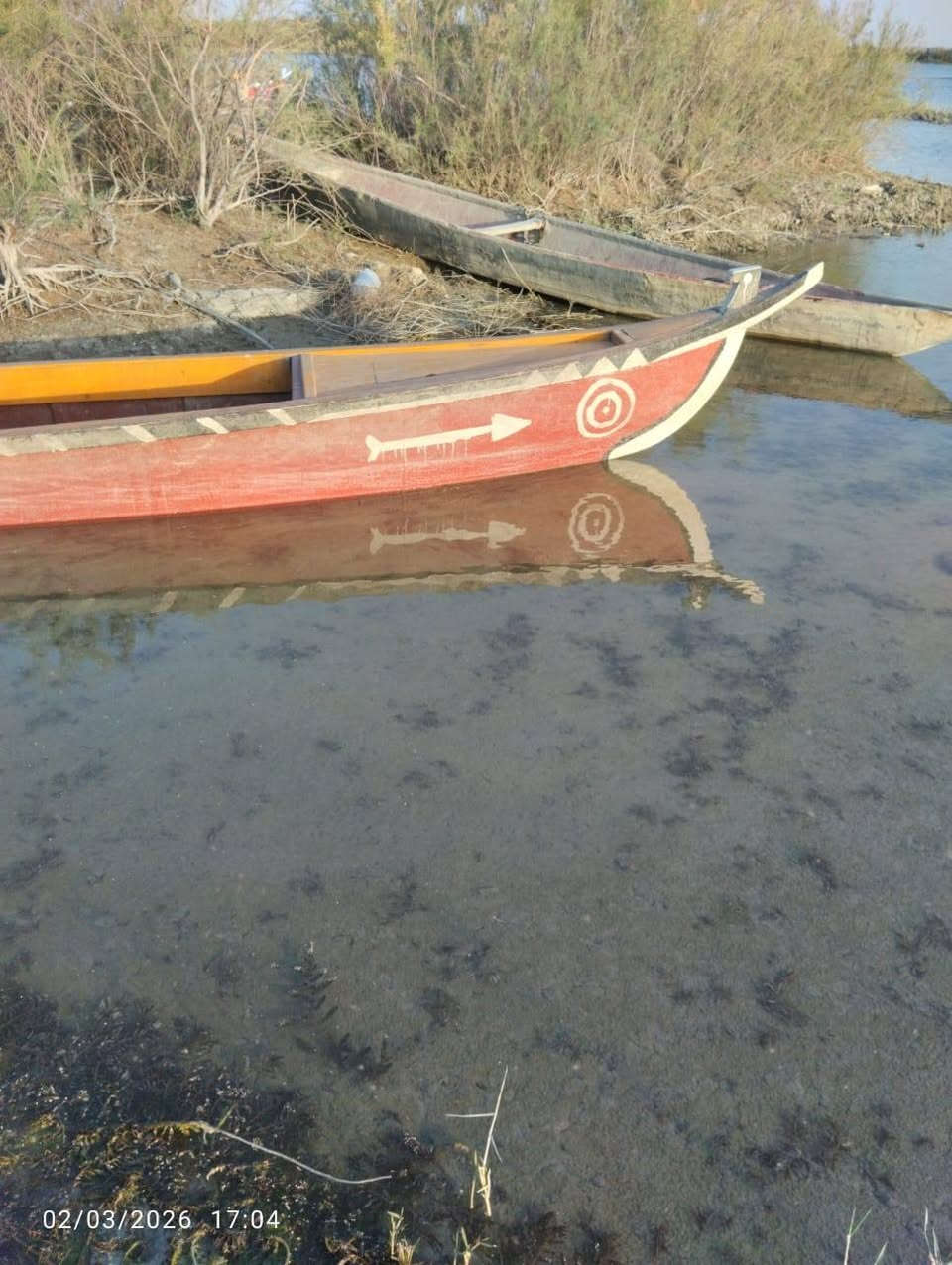 سلام عليكم ورحمة الله وبركاتة بلم للبيع السعر950وبيه مجال العنوان ذي قار قضاء الجبايش ناحية الحمار للاستفسار الاتصال على الرقم ***********
