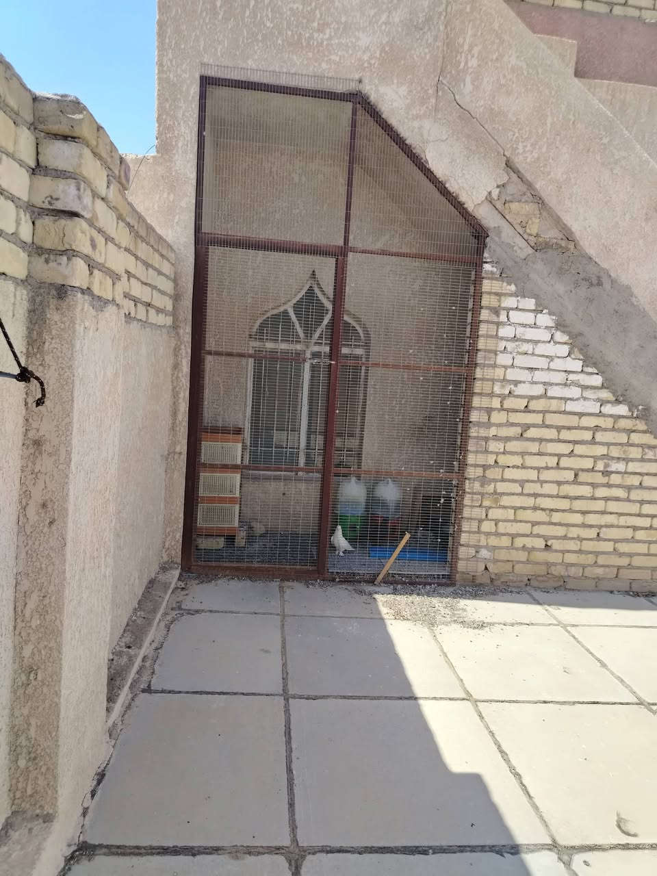 للبيع كوت زين القوس واجهات ***********
