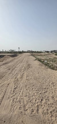 الجزيرة باب الهوى • ١٠٠م • طابو صرف زراعي