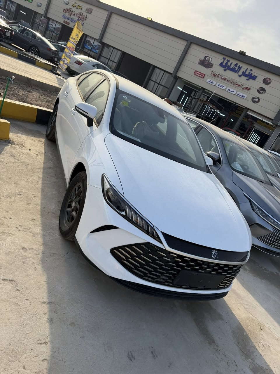 يالله
عروض تحطيم الأسعار  جوه السوك أبيع جوه السوك اريد احرك الأسعار  هاا بشرط سيارات مرقم وجاهز 

أريد  تروح تعامل وتجي البيعلك جوه سوك حجي 

الجن بلاس 

و الدسترويل 

حرك الأسعار حجي بس يم شركه نجوم اليمامه 

اتصل حجي وتدلل عروض 

عنوان الشركه ديالى بعقوبه 

العرض هاذا يومين فقط 

‭٠٧٧٧ ٩٣٩ ٨٧٧٩‬
