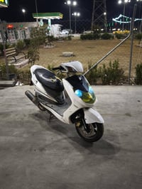 سكنس فحل • ماشيه 40 • زينون