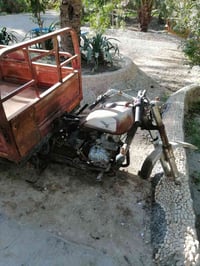 ستوته • مكفوله • أوراق ضايعه