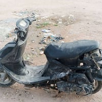 فراشه • شغاله • ستوته