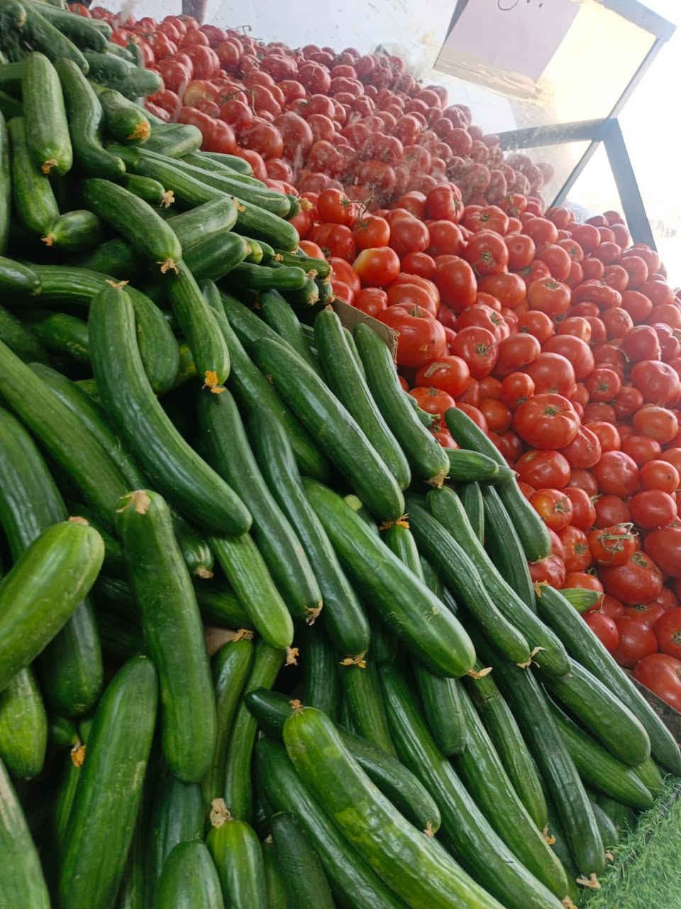 حجي عباس


**إذا كنت صاحب هذا الإعلان وتريد حذفه لأي سبب، رجاءا أرسل رسالة إلى الدعم الفني**