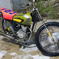 ايراني تايگر • شغال • النساف