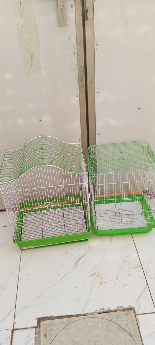 السلام عليكم للبيع المكان النجف الاشرف رقم بي واتساب ***********
