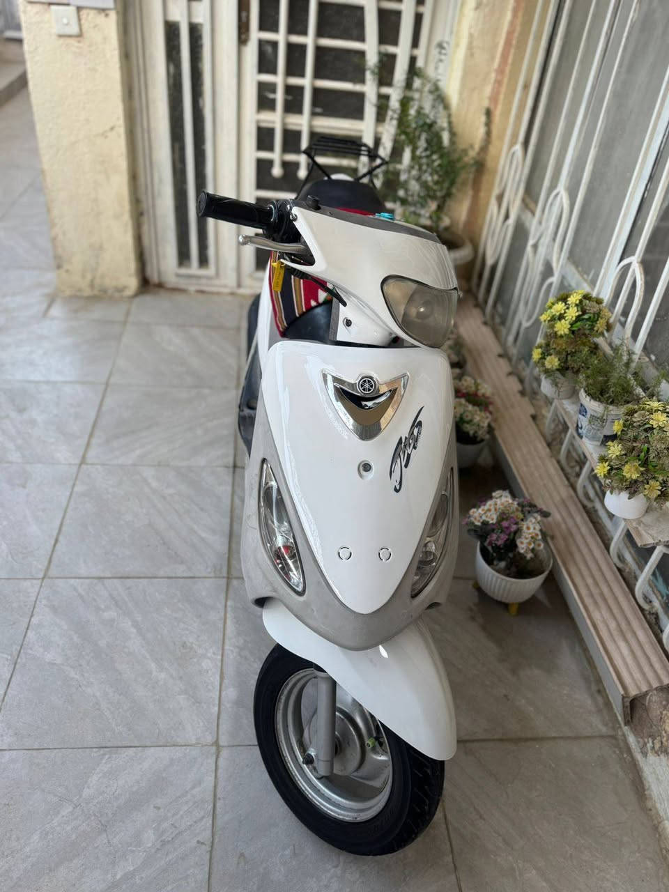 ماكس منغولي بلاد بوشه49 دراجة خير من الله معدل وشلعه مكفولة من النقص فقط السلف مبدل ما مفتوحة دراجه تجي وتشوف السعرر 650 وبيها مجال مكاني كربلاء وبيها وصل معرض


**إذا كنت صاحب هذا الإعلان وتريد حذفه لأي سبب، رجاءا أرسل رسالة إلى الدعم الفني**