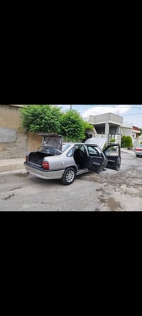 فيكترا • ١٩٩١ • أوراق كاملة