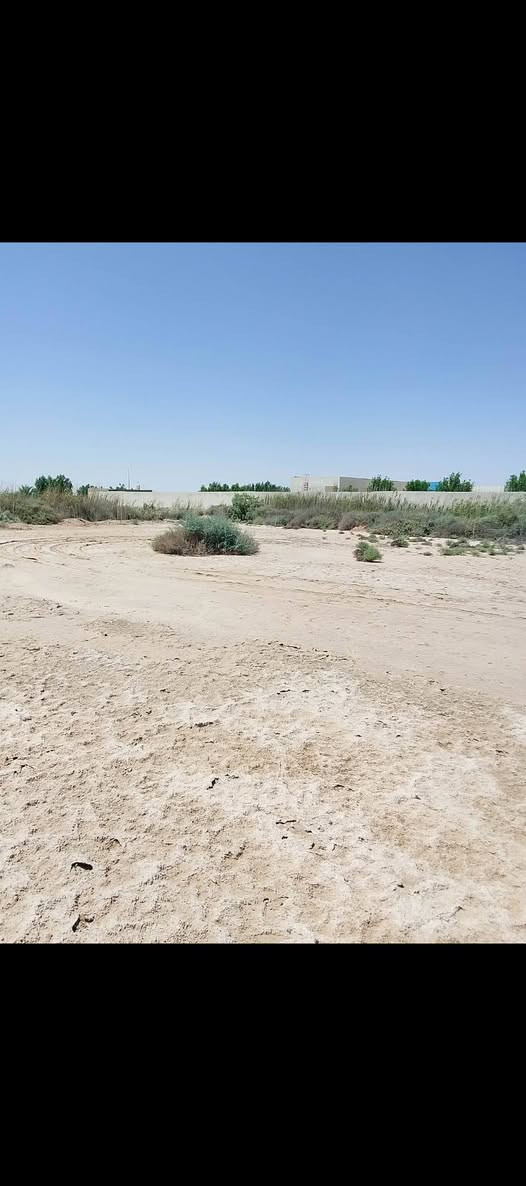 السلام عليكم عدنه دولم لبيع
 3دولام الوجه 150والنزال 250 
و5ودولالم الوجهه 250والنزال 250
لبيع طابو 25حق التصرف طابو التفاصي ***********
