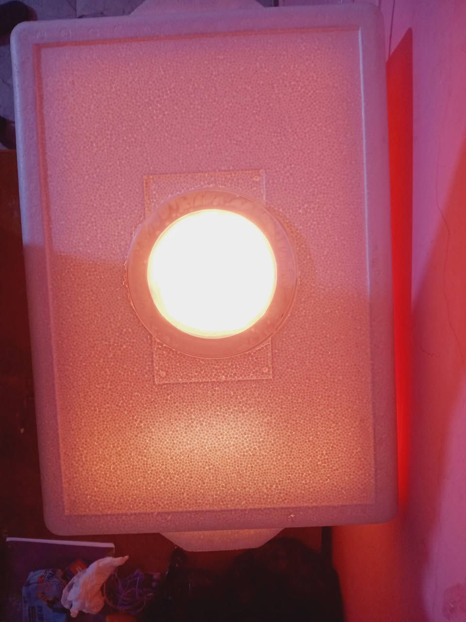 متاح
BOxفقاسه فلين تقليب يدوي جاهزه تحضن اكثر من ٣٥ بيضه تقريبا و متحكم الحراره درجته منظمه ما عليك بس تخلي بيه البيض السعر ٥٠الف 
       الشراي يجي خاص وبخدمتك
مكاني/البصره حي الصدقاء


**إذا كنت صاحب هذا الإعلان وتريد حذفه لأي سبب، رجاءا أرسل رسالة إلى الدعم الفني**