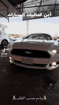 السلام عليكم موستنك للبيع موديل 2016 وارد كلين  تعديل بارد جاملغ خلفي
بحاله جيده جدآ 
مكان بغداد اليرموك 
سعر 15800$ 
***********
***********
