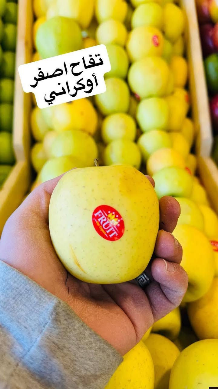 اللهم صلي على محمد وآل محمد
اليوم الخميس مسواك جديد من دكان الخضرجي
🔥🔥🔥🔥🔥21/5/2026
أسعارنا كل يوم بيومة
خيار 🥒 3 بالفين دينار
بصل أصفر 🧅 مشكل 500 دينار
بصل ابيض كرستال  500 دينار
بصل أحمر 750 دينار
طماطه 🍅  500 دينار
بتيتة 🥔 عراقيه درجه اولى 3 بالفين دينار 

أسود 🍆 عراقي درجة اولى 750 دينار
خيار ناعم 🥒🥒🥒عراقي 750 دينار  3 بالفين
خيار عطروزي 500 دينار 
فلفل🫑🫑 بارد 750 دينار 3 بالفين
لهانة بيضاء 🌳500 دينار 
لهانة حمراء 🌳500 دينار
بامية ناعمة درجة اولى 3,000 دينار
شجر 🥗 عراقي فول الف دينار
جزر 🥕🥕 أفريقي فول 1000 دينار
ذرة🌽جاهزة قطعه 1000 دينار
طماطة كرزية  2000 دينار
باقلاء خضرة🥘 مفلسة لايوجد
قرنابيط🌳تركي لايوجد
خس🥬 عراقي فول 1000 دينار
تمر 🌴حلان 1000 دينار
رطب🌴برحي علبة 2000
ركي🍉مصري ك750 دينار 3 بالفين
بطيخ🍈 عسل🍯ك1000 دينار 

فطر 🍄علبة 2500 

زنجبيل 🫚طازج فول 6000 

#قائمة_أسعار_الفواكه
موز🍌افريقي حلو 2000 دينار
كرز 🍒 أفريقي 5,000
كوجة 🫒 خضرا عراقية فريش نص كيلو 2000 دينار
[  ] سندي 🍋‍🟩 ق 1000 دينار
كيوي🥝عادي 1500 دينار
تفاح احمر🍎كالة حلو 1000 دينار
تفاح أصفر🍏عسلي 1000 دينار 

برتقال🍊أفريقي الف وربع دينار
لالنكي 🍊افريقي 2000دينار
ليمون🍋أفريقي كلاص وان 3000 دينار
تفاح🍏سكري اثيوبي 2,500 دينار
خوخ🥭صوفي تركي  1500 دينار
مشمش🍑 تركي نص كيلو 1500 دينار 
عرموط🍐عسلي 3000 دينار 

كرز 🍒 ايراني /لايوجد
فراولة 🍓طازجه 2000 

سفرجل 🫐 نص 3000 دينار
منكة يمنية عسليه 2000
#افوكادو🥑لبناني 5000
عنب أسود 🍇 نص كيلو 2500 دينار
عنب أحمر ك 3000 دينار
آلو كيلو 3000 دينار
جوز الهند ق 1000 دينار

#دكان الخضرجي #تميز ومصداقية #توزن بيدك ثم حاسب بضاعة بلا منافس رقم واحد لأصحاب الذوق 

#للحجز والاستفسار  ***********
          ***********
خدمة التوصيل مجانآ
دكان الخضرجي عالم النظافة والترتيب

