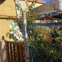 دار للبيع ٢٠٠م موقع تقاطع طريق بسمايه مشتل فلكه سلمان تبليط مجاري قريب...