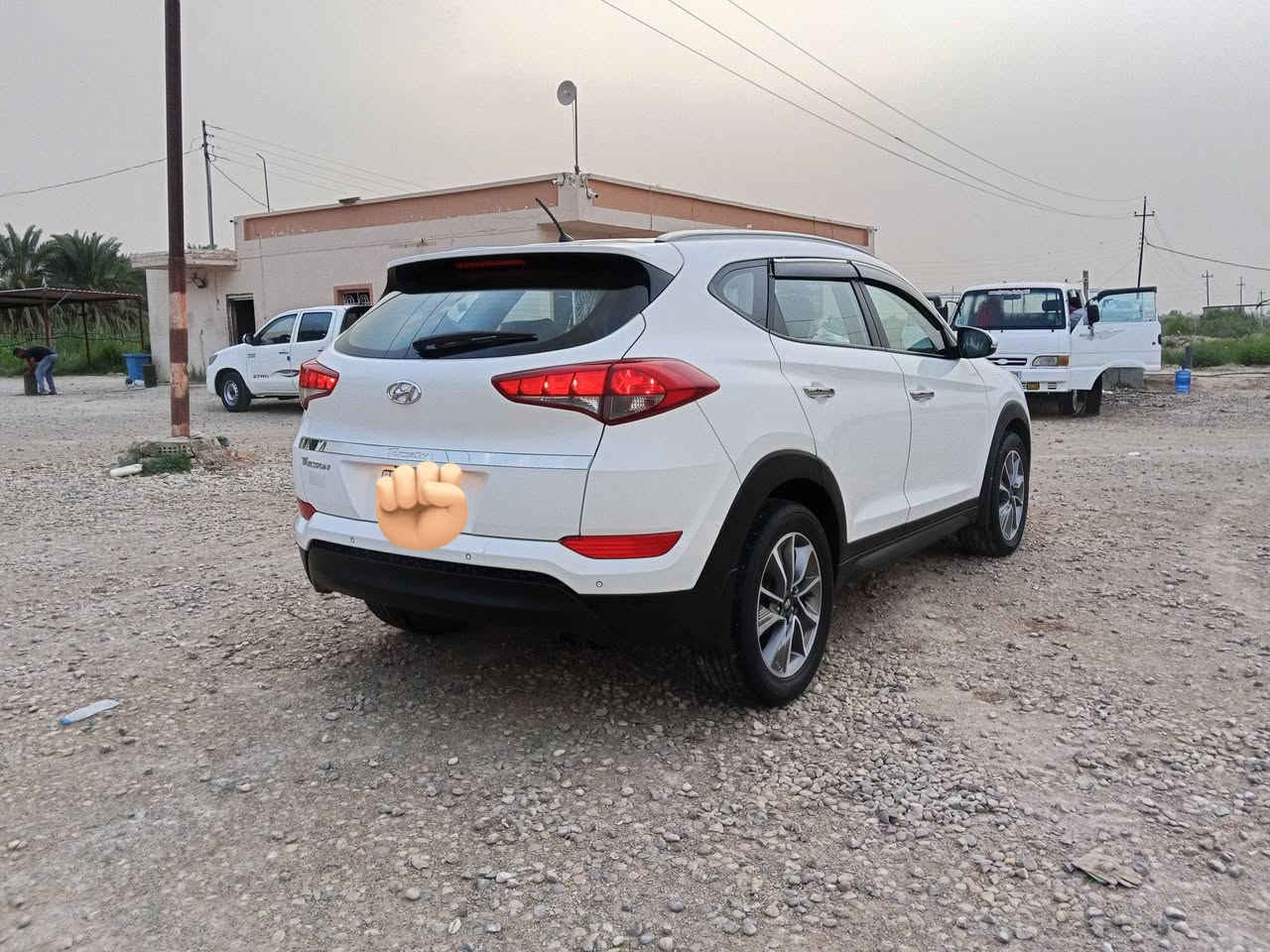 توسان خليجي الگاصد موديل 18 فول عده البصمه رقم بغداد مكينه وكير مكفولات عل وضع شركه سياره جديده ماشيه 104 كفاله عامه بيه كارت بل بنيد قليل كلش وبارد بكد چف الايد ✋ باقي كفاله من شخط سياره جديده وجاهزه دوشمه تايرات جدد توني شادهن سياره مال جناي مكان بابل.. سعره 178 بيه مجال  متواجد اتصال فقط ... ***********...
