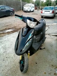 ماكس عدله • بوش وبستم • مكفولة