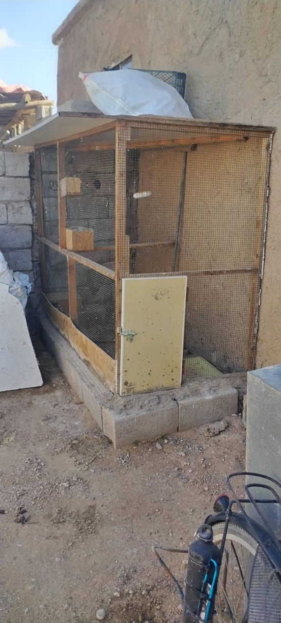السلام عليكم يوجد قفاص اثنين للبيع*********** وهذا رقم التليفون الخاص مفتوح
