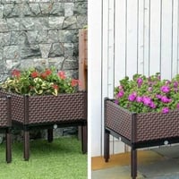 زرع • نباتات • حديقة