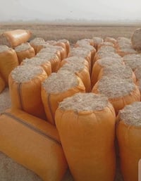 عمال تبن • دوام ساعي • موجود