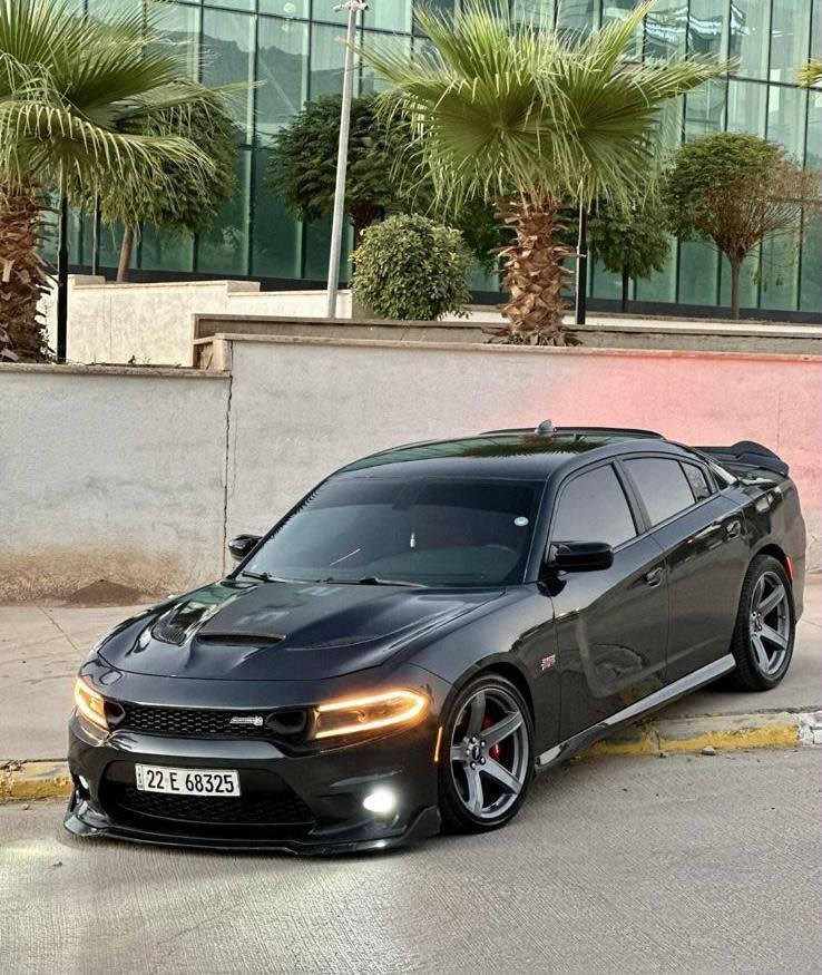 سلام عليكم
دلال جارجرات عندي شنو الي ب بالك ومن ١٥ لل ٢٣ 

كندي
خليجي 
امريكي
ضربه خفيفه
ضربه قويه
كلين

واليدور اقصاد ماعندي بس نقد واقل سعر اشوفلك 165 وموديل ١٥ او ١٦ مستحيل اجيبلك ١٨ او ١٩ ب ١٦٥ 

متوفر جارجرات SXT/GT/RT/RT SOBR TRACK
SCAT PACK/SRT

SCAT PACK WAED BODY 

وجماعه اريد ار تي وايد بدي اصل لا تجوني لان ماكو ار تي وايد بدي اصل من السكات واصعد للريد اي وايد بدي اصل ار تي ماكو وايد بدي 

واليدور هيلكات عندي هيلكات مشهوره دزلي بالواتساب هاي بس لليدور هيلكات عندي مال علي منحوش ال١٦

8 سنلدر و 6 سلندر  الي يدور وما لاكي موجود يمي بس دزلي مواصفات وتلكه عندي 

متوفر عندي من ١٥ لل ٢٣ جارجرات بس

وعندي سكات واس ار تي هيلكات كل الفئات مال جارجر موجود

توفرت عندي حالياً وجبه قويه اكثر من ٢٠ سياره و ٩٥٪؜ بيهن كلين واسعار مناسبه ارقام بس اربيل وسليمانيه و بغداد 

متوفر ٢٤ ساعه

بالفيس ما موجود بس واتساب تخابرني وما رديت يعني مشغول او اذا انرفض تلقائي هاي مسوي عدم ازعاج مرات اذا مشغول 

تخابرني الفجر ارد عليك

للاستفسار ***********
