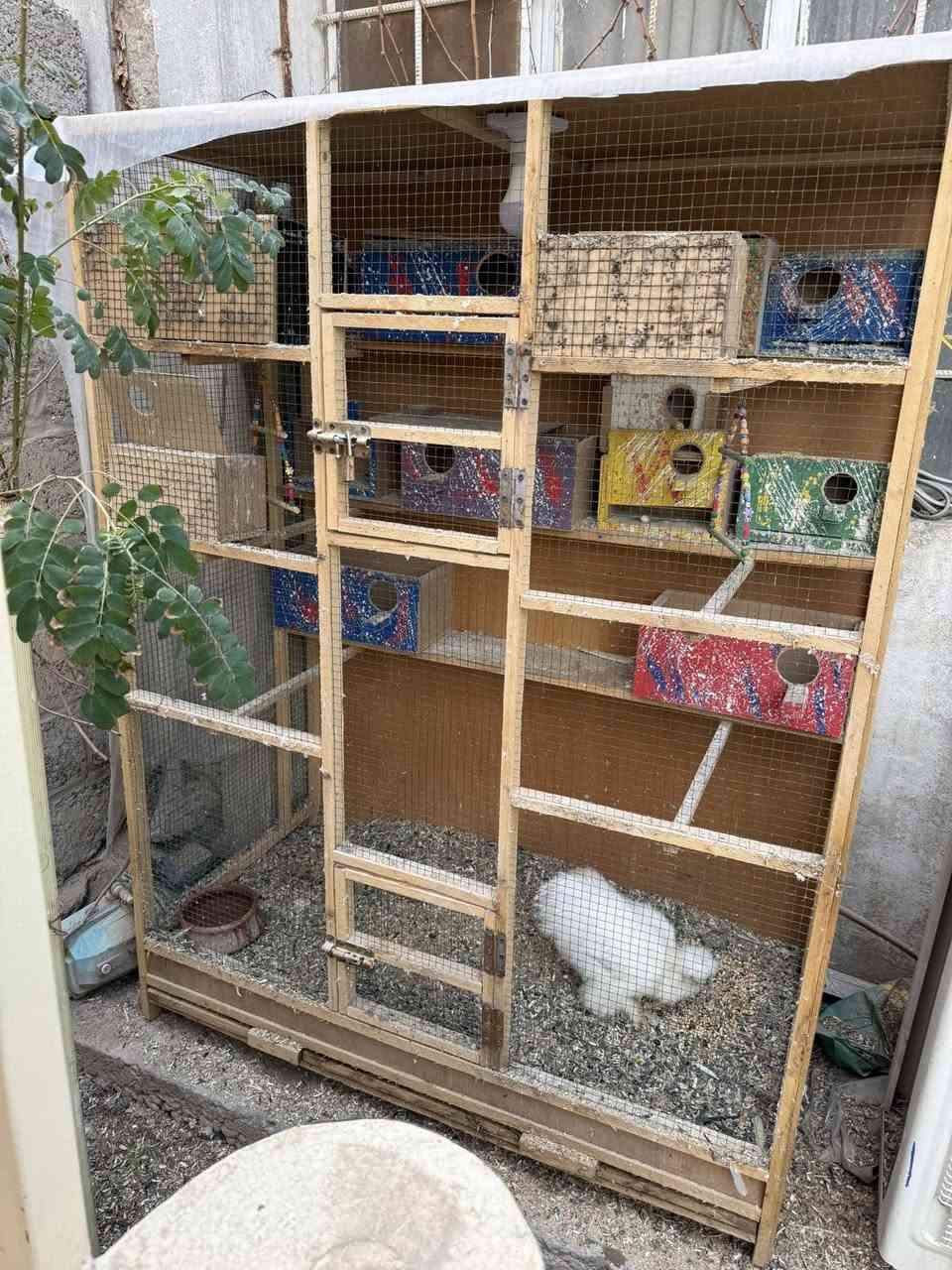 متاح قفص مال كوكتيل وطيور حب جاهز معه محتوياته 50 الف مكاني حي واسطي


**إذا كنت صاحب هذا الإعلان وتريد حذفه لأي سبب، رجاءا أرسل رسالة إلى الدعم الفني**