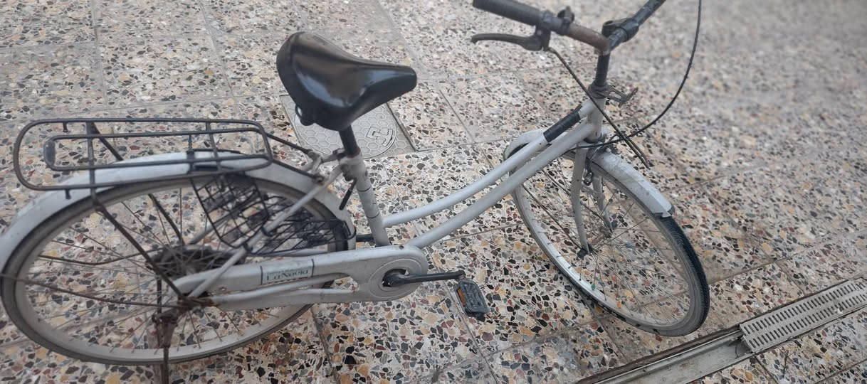 شباب بايسكل بطة حجم26للبيع بنجر تاير خلفي فقط


**إذا كنت صاحب هذا الإعلان وتريد حذفه لأي سبب، رجاءا أرسل رسالة إلى الدعم الفني**