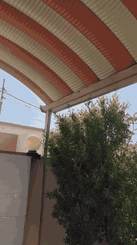 السلام عليكم دراجه بوليس للبيع مكينه ناعمه مامفتوحة مكفولة لون مميز مشمشي🍑  داخل املح  الوصل موجود كفرات اصلية ختم واحد وي المكينه شاهد الله دراجه اتخبل طياره مكان كربلاء الحر الرقم واتساب*********** السعر 1200وبيه مجال
