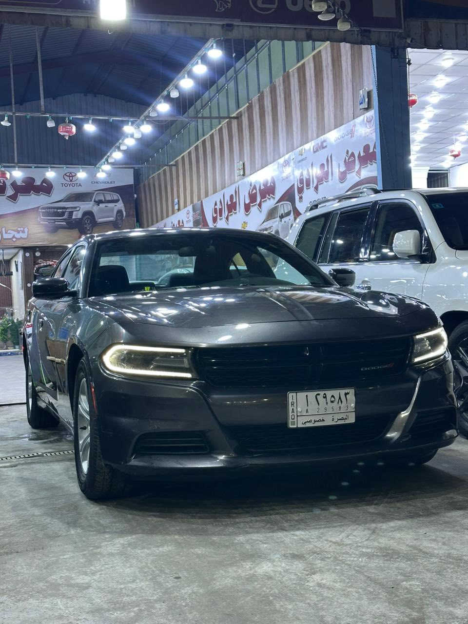 مجموعه سيارات وارد امريكي 
دووج جارجر 2019 رقم بصره حادث دعاميه خلفيه 
وبارد باب الصندوق مواصفات اعتياديه sxt سعرها 200
دووج جارجر 2023 رقم اربيل بوليسي  ماشيه 18 الف 
بيها جاملغ وبنيد وتصليح قليل للدواخل سعرها 195
دووج جارجر دايتونا 6400 2018 فول مواصفات تقرير مياه امطار سعرها 265 
دوج جارجر دايتونا 5700 موديل 2018 حادثها بارد بلجاملغ الأمامي وبارد بلباب الخلفي سعرها 215 
السيارات موجوده بمعارض القبله بمعرض العرادي 
للاستفسار ***********
