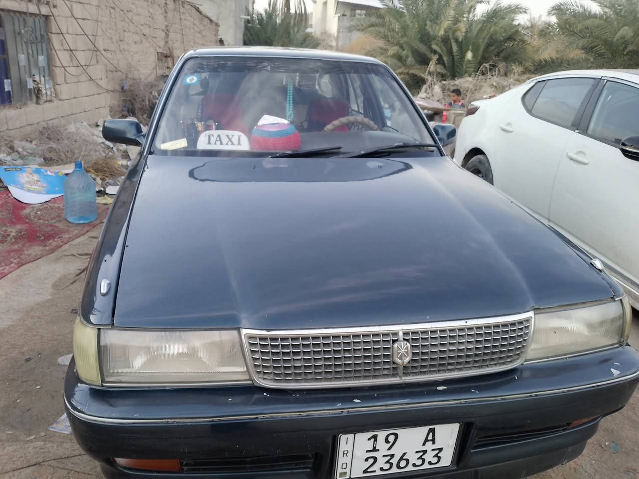 السلام عليكم مارك كربلائي للبيع بسمي مكفوله من الكص ونقل الجنه مصبوغه عام  جماليه-السعر 55,الرقم***********
