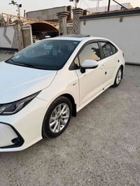 كورله صيني • ٢٠٢٥ • كفاله عامه