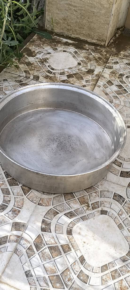 جدوره للبيع جديده ورقم وحد مال طبخ وطباخ عينين كمل هوه ول منضم وعين قيم وخذ والله كولها اصليه


**إذا كنت صاحب هذا الإعلان وتريد حذفه لأي سبب، رجاءا أرسل رسالة إلى الدعم الفني**
