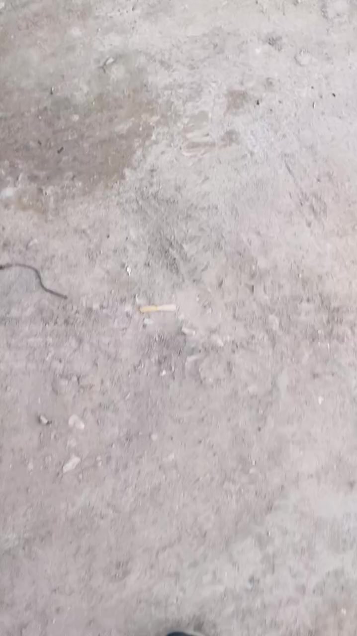 ***********
العنوان ابو الخصيب حمدان منطقه الروميه
