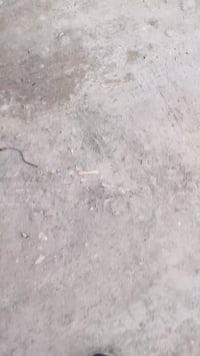 تويوتا كراون • ١٩٩٠ • ابو الخصيب