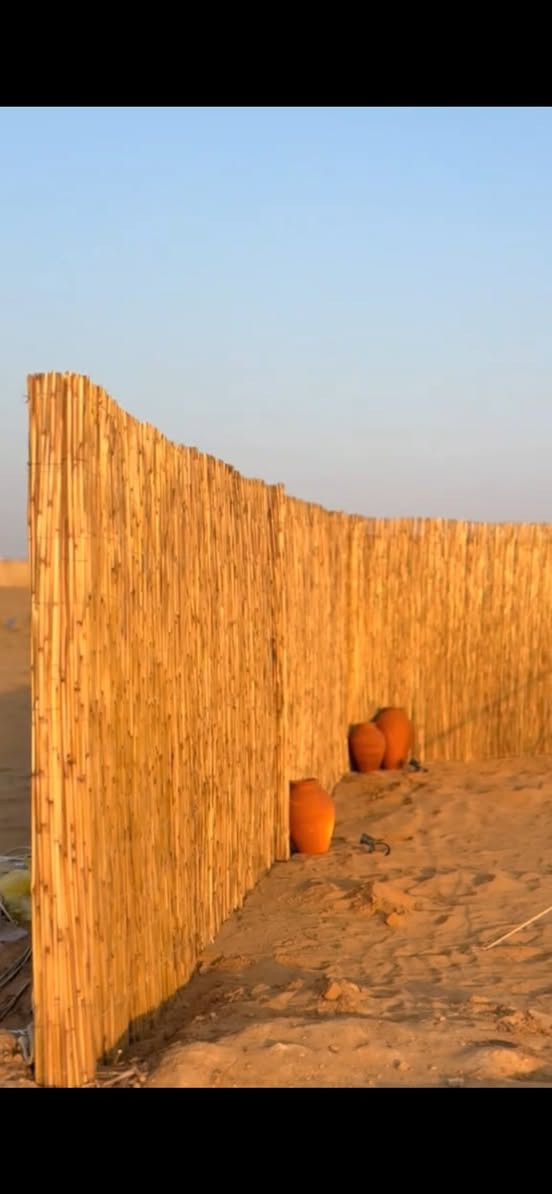 القصب الخيزران متوفر ***********
