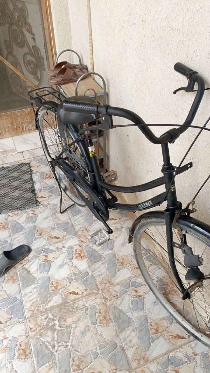بايسكل للبيع حجم 27 البايسكل ياباني نضيف سعره 70 وبيه مجال للطيبين


**إذا كنت صاحب هذا الإعلان وتريد حذفه لأي سبب، رجاءا أرسل رسالة إلى الدعم الفني**