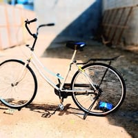 بايسكل • بطة • نجف