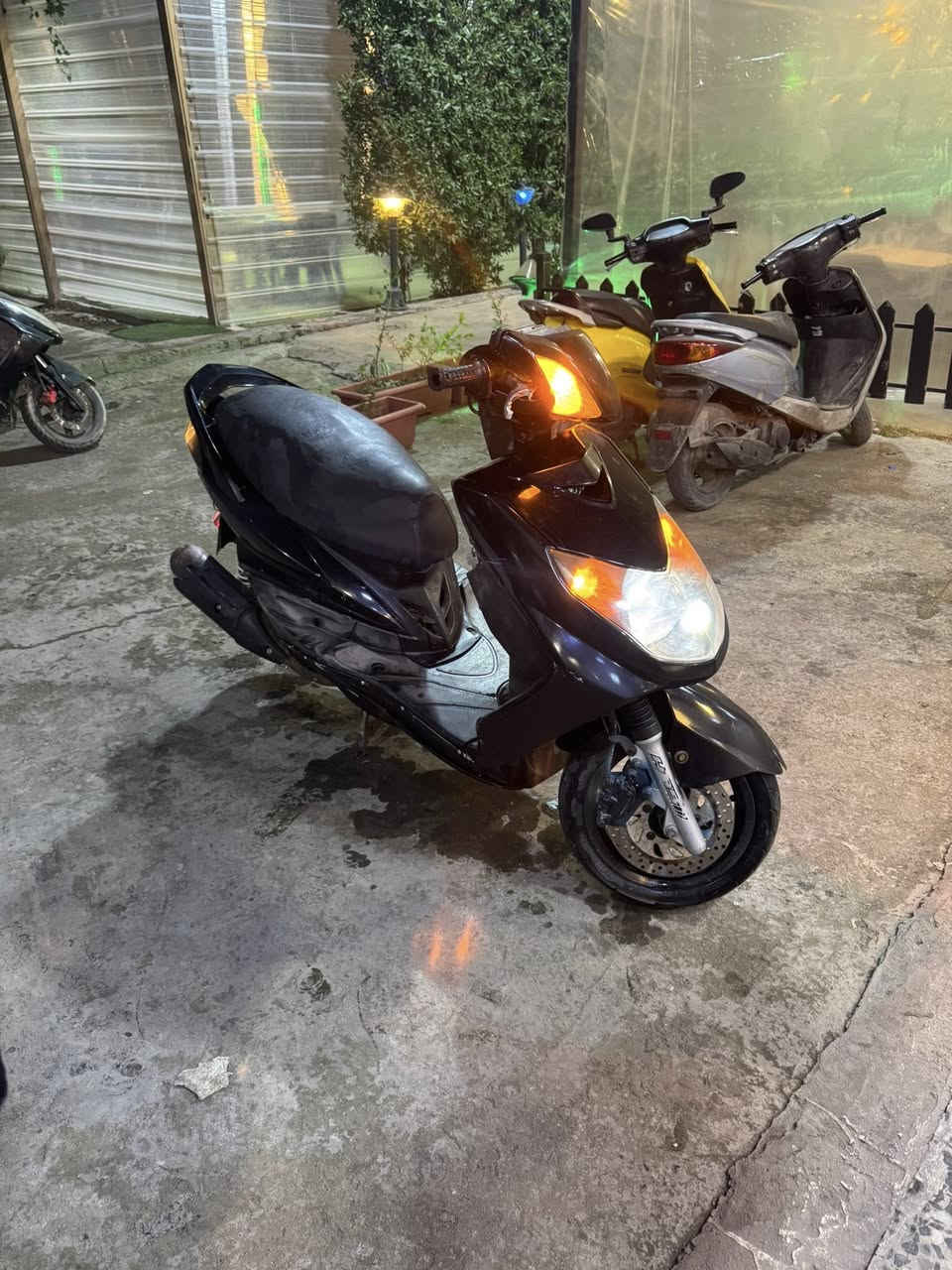 سلام عليكم سكنس فحل بلاديه كله كفرات اصليه كله شغاله عدا الكيجات سعره 600 وبيه مجال بيع او مراوس 
مكاني بغداد حي البنوك شارع المشاتل 
***********
