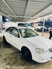 ياباني • ٢٠١٠ • فتيس عادي