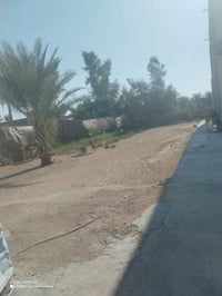 حي الشرطه • ١٦٠٠م • معمل سندويج
