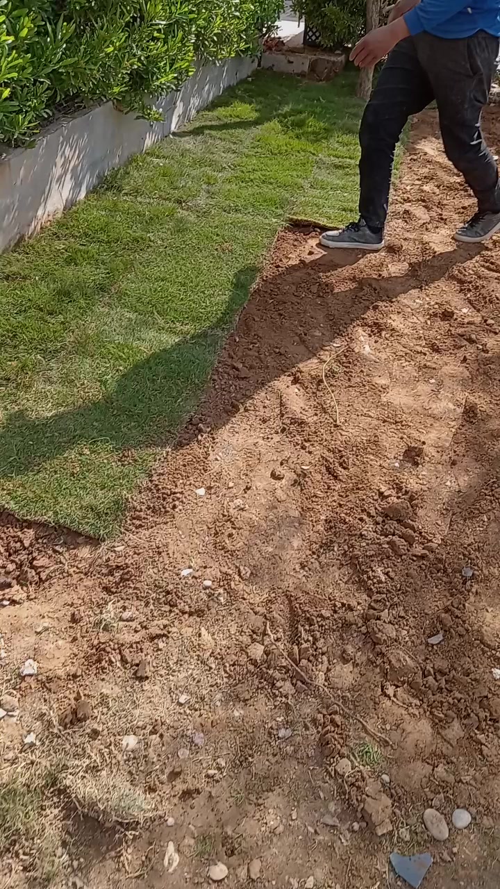 تنظيف حدائق 🪴🌻
تجهيز حدائق 🌷وديكورات حدائق ⛲
للتوأصل وأتساب 
***********
