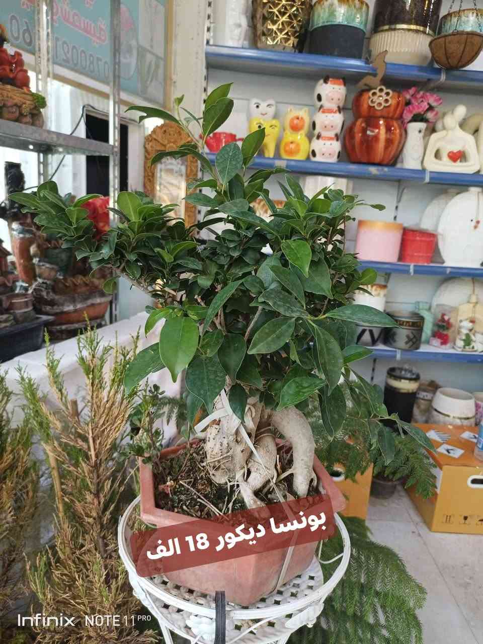 الانبار الرمادي العزيزية مكان الجديد...من جهة شارع العام  شارع ميسلون خلف مجمع برج المسك اول فرع على اليمين *********** ... يوجد توصيل داخل الرمادي...
