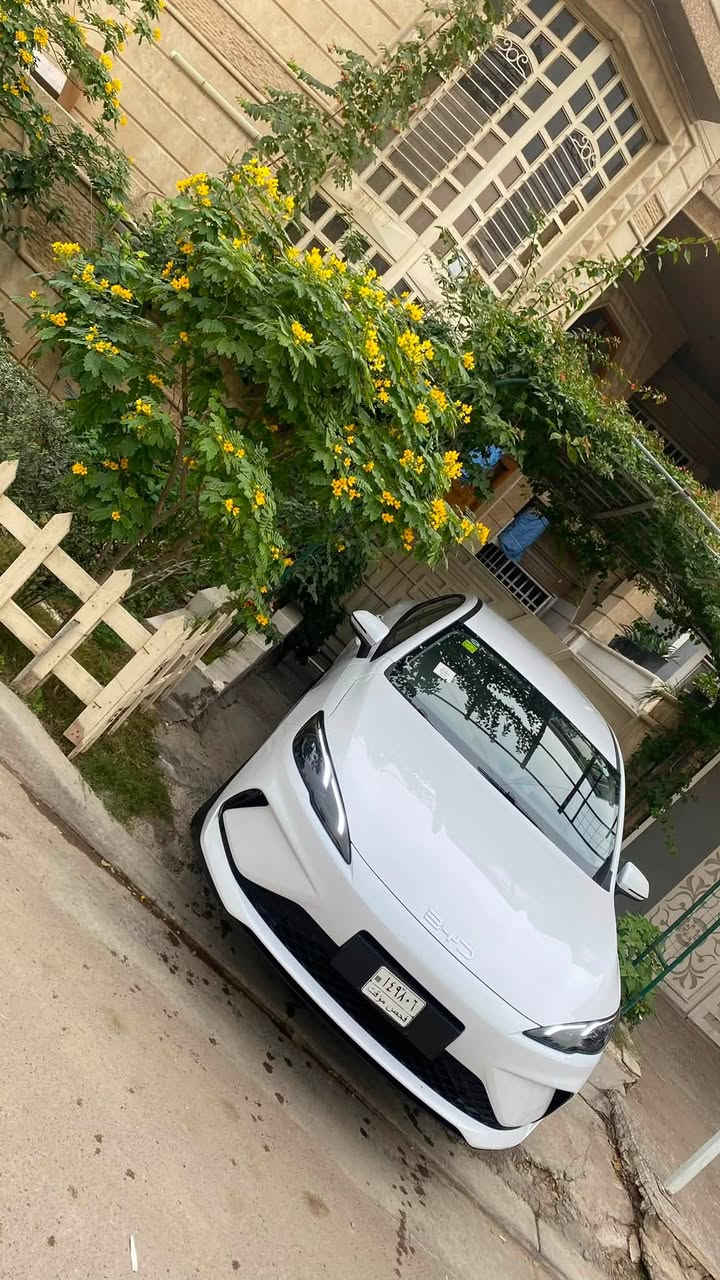 السلام عليكم BYD سيل 5 
ماشية 10 الاف كفالة عامة عدا خدوش ثنين بسيطات بالقمارة 
مكاني بغداد شارع فلسطين 
السعر 18 ونص و بيها مجال بسيط 
***********

