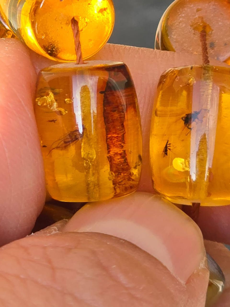 وعلى المامش .... علمّتني
أنا حب هوايه كبلك ذوّباني
شلون اوصفك .... وانت كهرب
شلون اوصفك .... وانت دفتر .... وآني جلمه

مسباح كهرب يعجز الوصف عنه  كل خرزه فيها ٢ الى ٤ حشرات  قطعه لاتتكرر بسهوله 
وزن ٥٠ غرام
*********** واتساب
