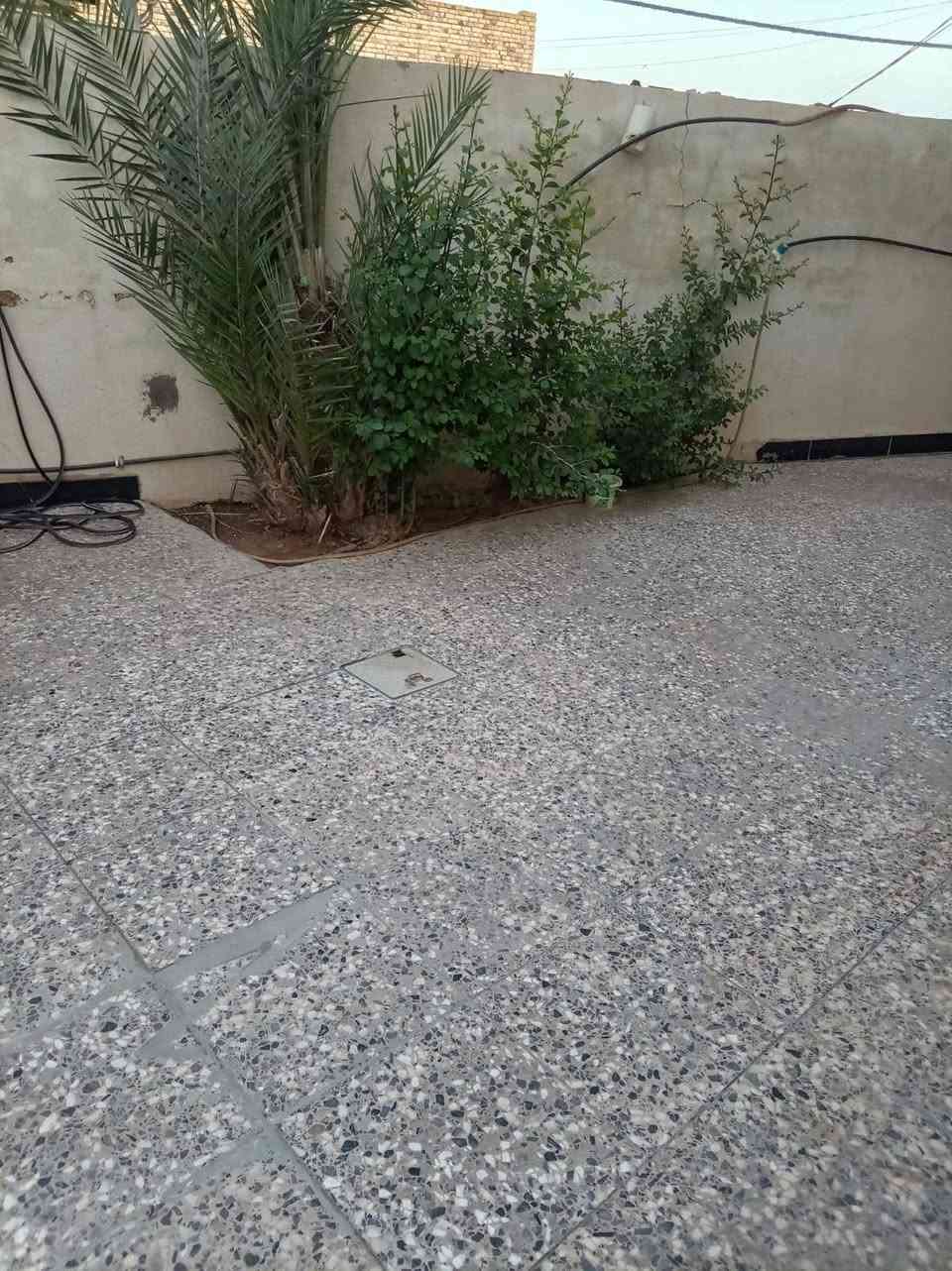 السلام عليكم عندي بيت زراعي مساحة ١٨٠في منطقه الزعيلات للبيع


**إذا كنت صاحب هذا الإعلان وتريد حذفه لأي سبب، رجاءا أرسل رسالة إلى الدعم الفني**