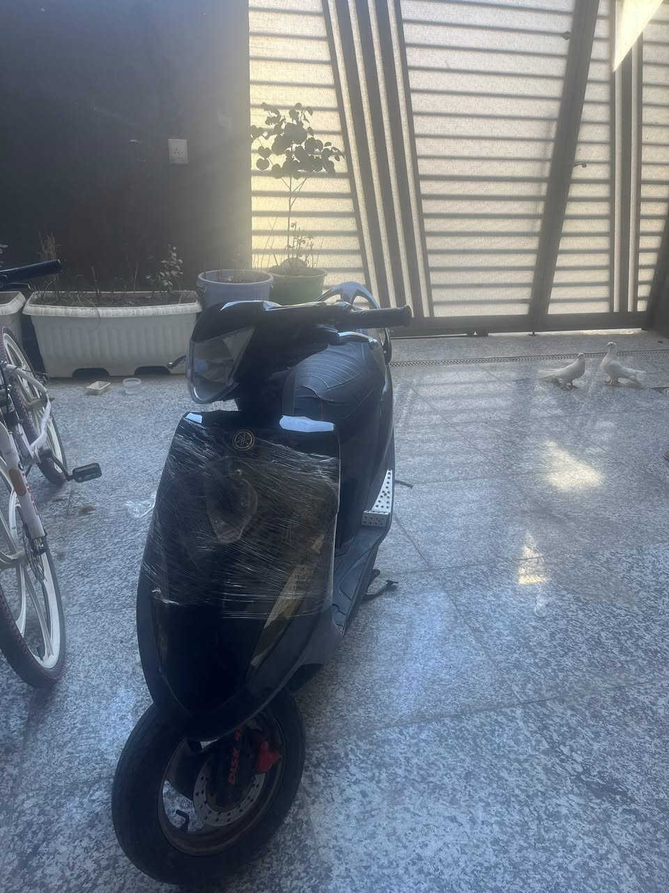 السلام عليكم من رخصه الادمن دراجه ماكس عدله كلشي بلادي كفاله عامه نروح مصلح ما مفتوحه بس كفرات تجاري دراجه ما توكفك والصالنصه البلاديه موجوده رقم *********** رايدها ب 900 وبيها مجال للشراي
